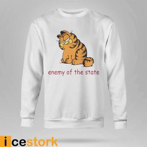 Garfield enemy of the state shirt2