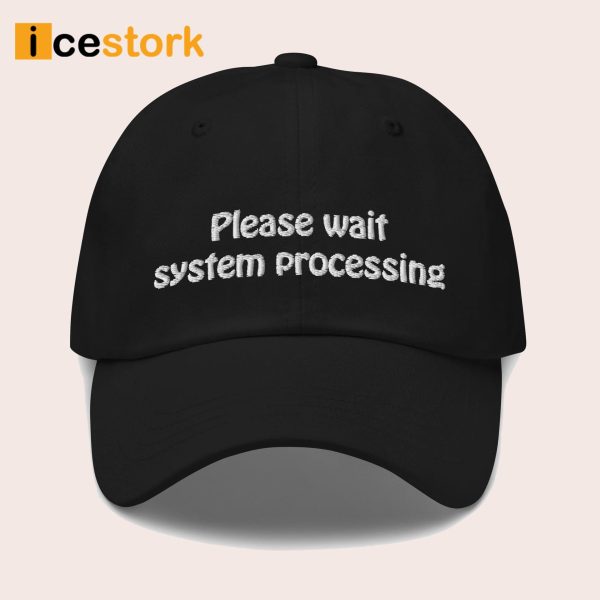 Please Wait System Processing Hat