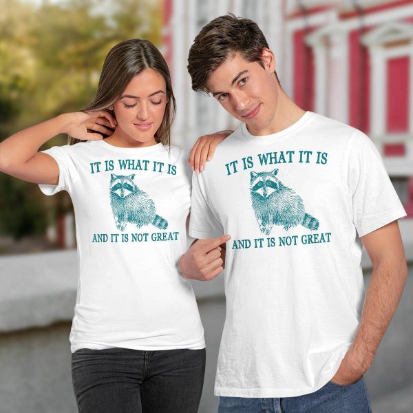 Raccoon It Is What It Is And It Is Not Great Shirt