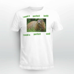 I Want A Perfect Body I Want A Perfect Sout Shirt565