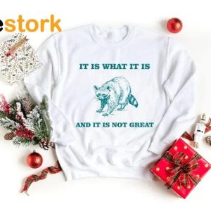 It Is What It Is And It Is Not Great Shirt