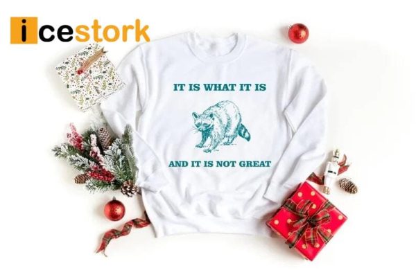 It Is What It Is And It Is Not Great Shirt