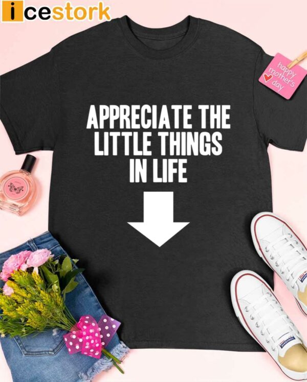 Appreciate The Little Things In Life Shirt