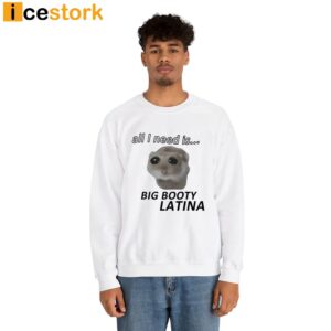 All I Need Is Big Booty Latina Shirt