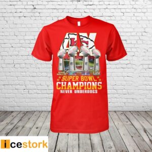 Chiefs 4X Super Bowl Champions Never Underdogs Shirt