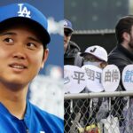 Fan Frenzy As Shohei Ohtani debuts for LA Dodgers