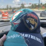 Dolphins Panthers Hat