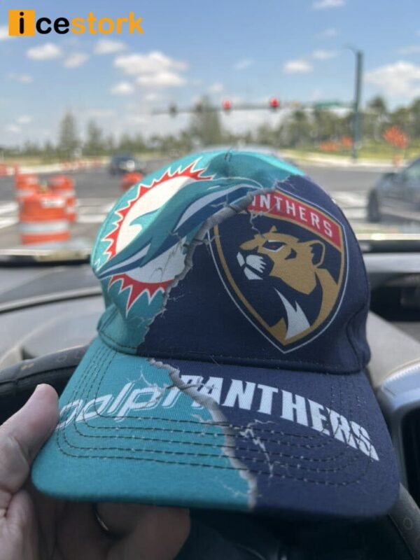 Dolphins Panthers Hat