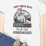 Don’t Mess With Grandmasaurus Ladies T-Shirt