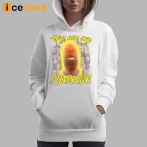 You Are My Sunshine Lebron Shirt