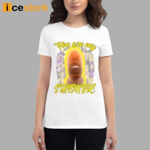 You Are My Sunshine Lebron Shirt