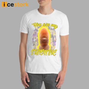 You Are My Sunshine Lebron Shirt