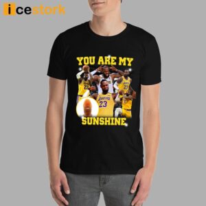 You Are My Sunshine Lebron T Shirt