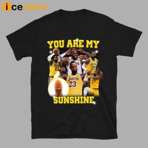 You Are My Sunshine Lebron T Shirt