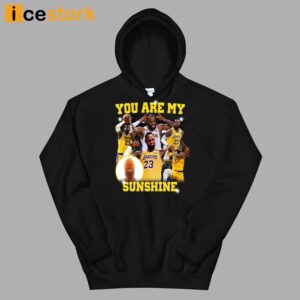 You Are My Sunshine Lebron T Shirt