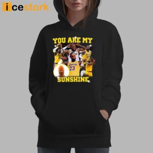 You Are My Sunshine Lebron T Shirt